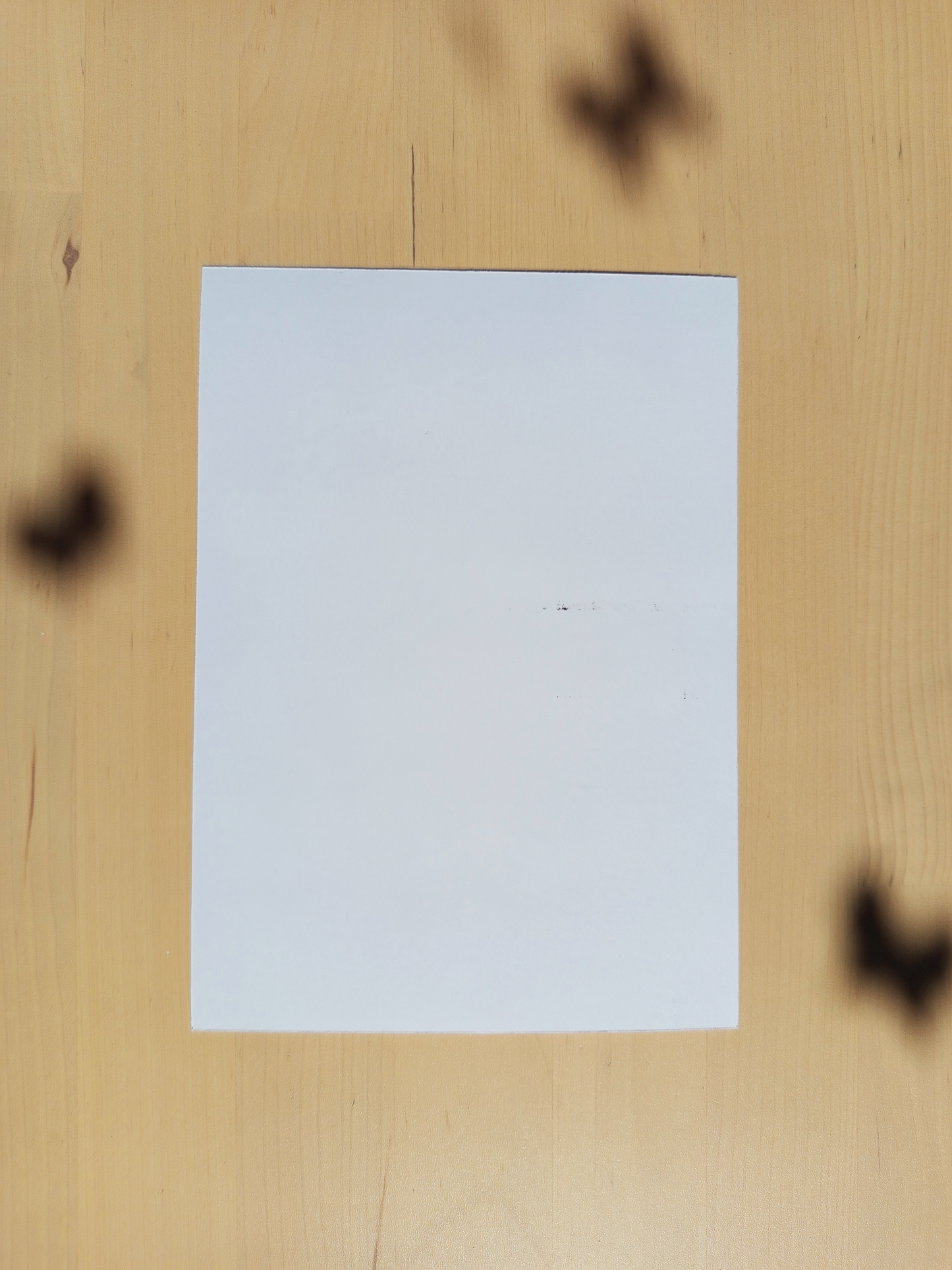Les Imparfaites : Illustration Fruitée