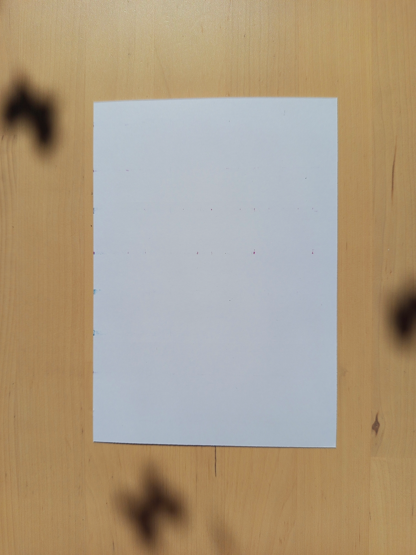 Les Imparfaites : Illustration Ma Bichette